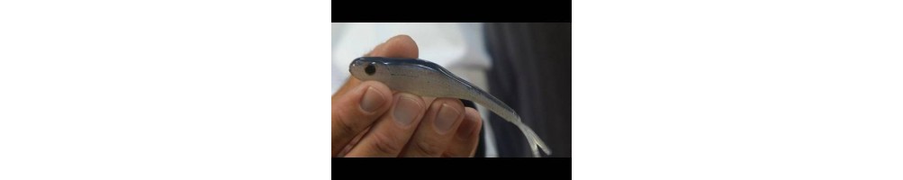 Tru Tungsten Depth Shad