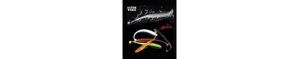 Molix Sator Worm