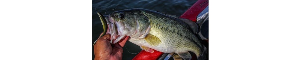 Gary Yamamoto D-Shad