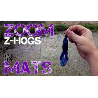 Zoom Z-Hog