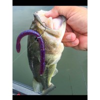 Zoom Magnum Trick Worm
