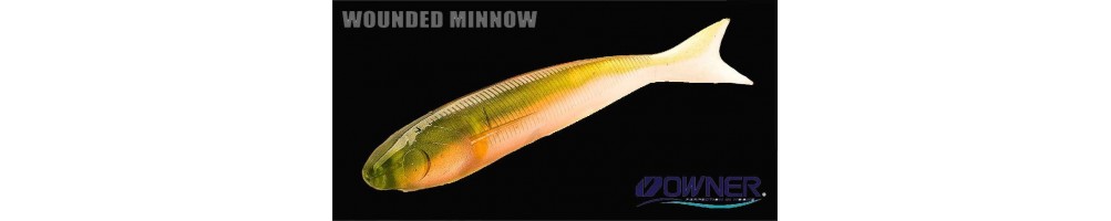 Owner Wounded Minnow