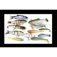Swimbaits