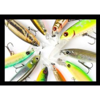 Jerkbaits
