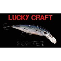 Lucky Craft Pointer