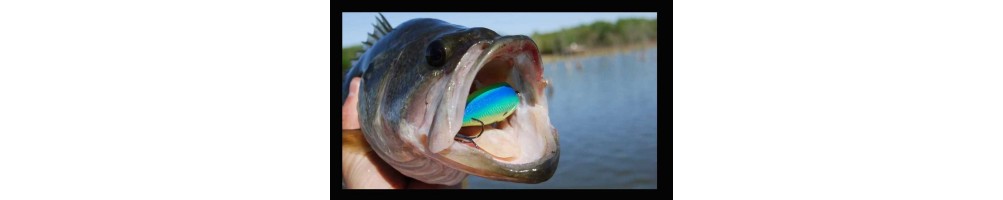 Crankbaits