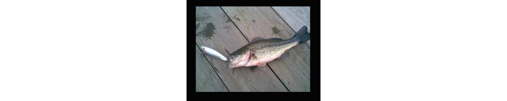 Rapala Subwalk