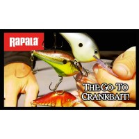 Rapala DT