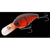 Storm Mag Wart