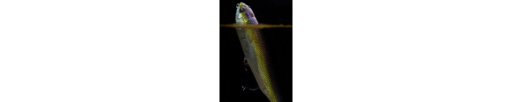 Megabass Dog X Series