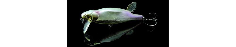Megabass Anthrax