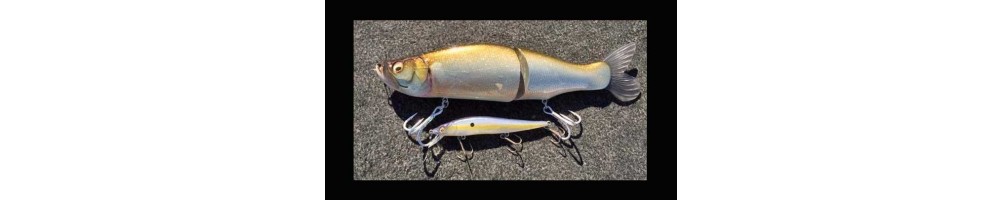 Megabass Swimbaits