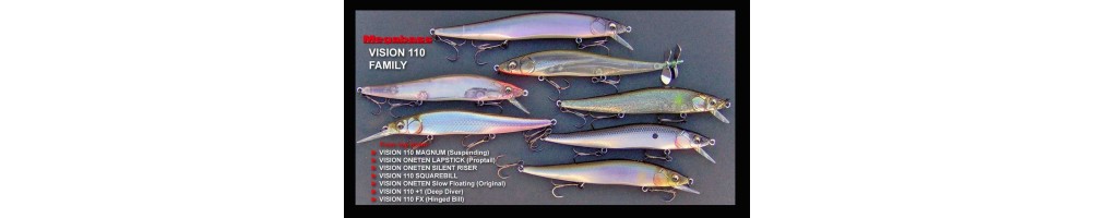 Megabass Vision