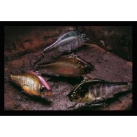 Megabass Vibration-X