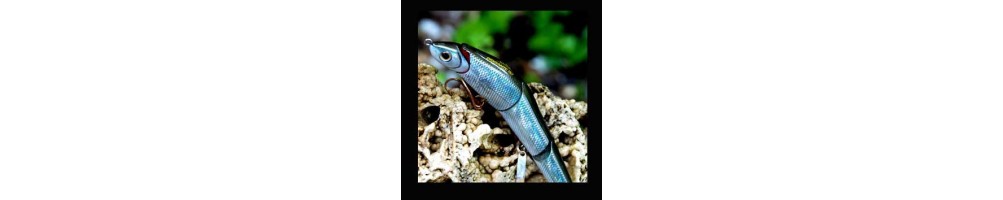 Molix Swimbaits