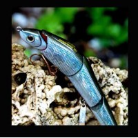 Molix Swimbaits