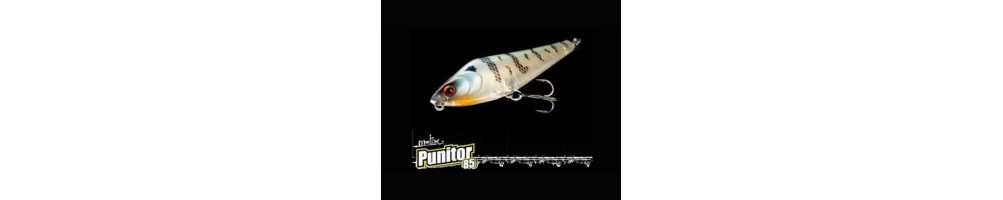 Molix Punitor