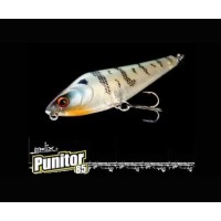 Molix Punitor