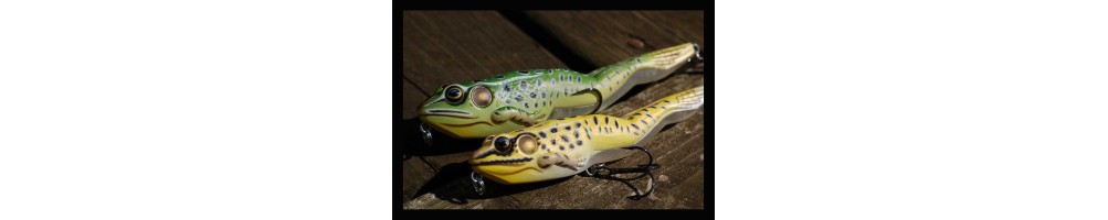 Live Target Frogs