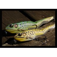 Live Target Frogs