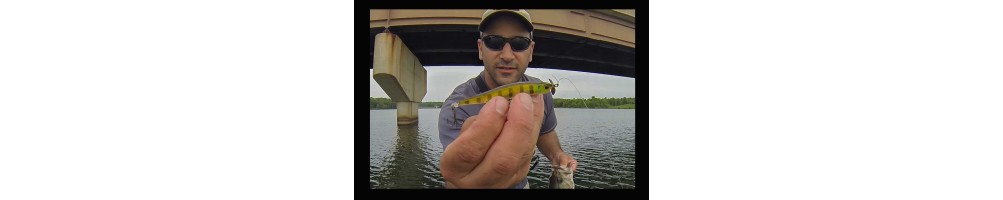 Spybaiting