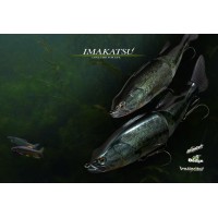 Imakatsu Swimbaits