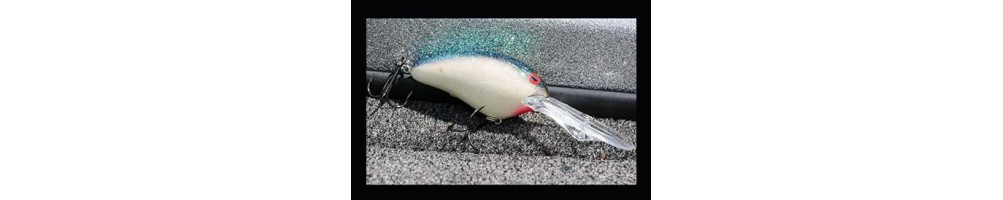Norman Lures DD