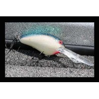 Norman Lures DD