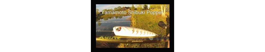 Gary Yamamoto Shibuki