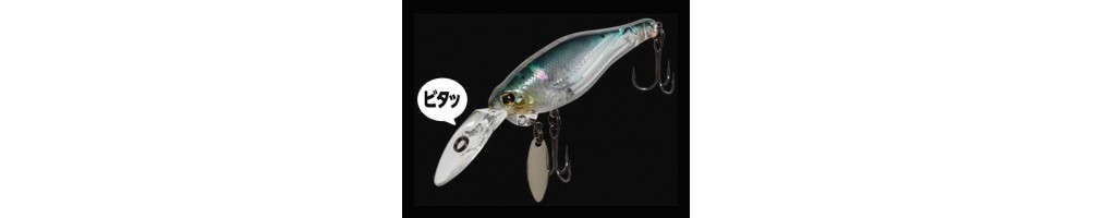 Imakatsu Do-No