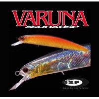 OSP Varuna