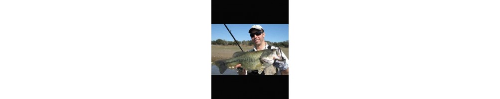 Gary Yamamoto Swimin´Senko 5"