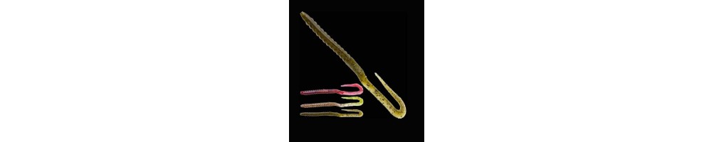 Zoom U Tale Worm