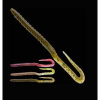 Zoom U Tale Worm