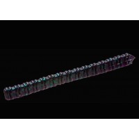 Fish Centipede