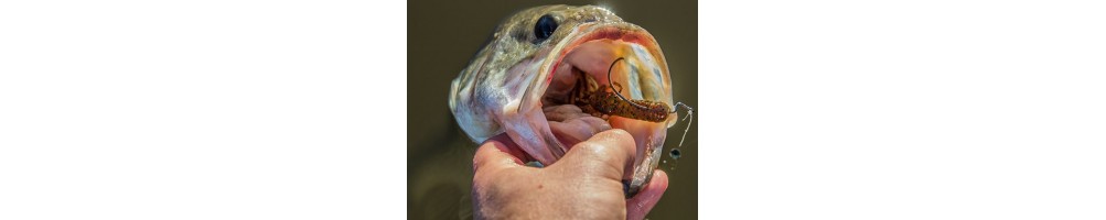 Yum Craw Papi