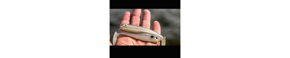 Basstrix Paddle Tail