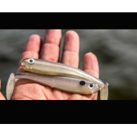 Basstrix Paddle Tail