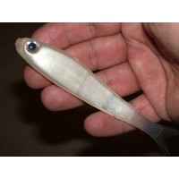 Basstrix SJB