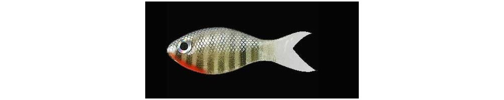 Basstrix Bait Fry
