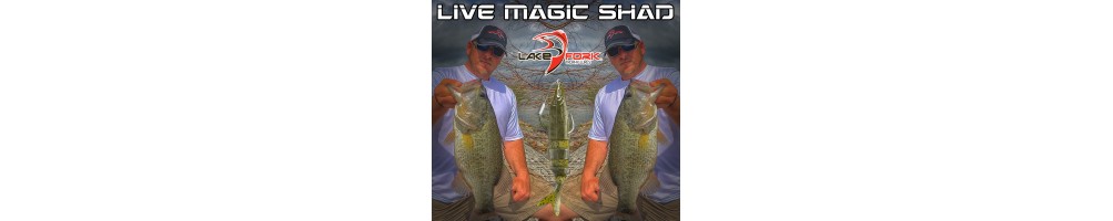 Lake Fork Live Magic
