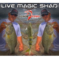 Live Magic