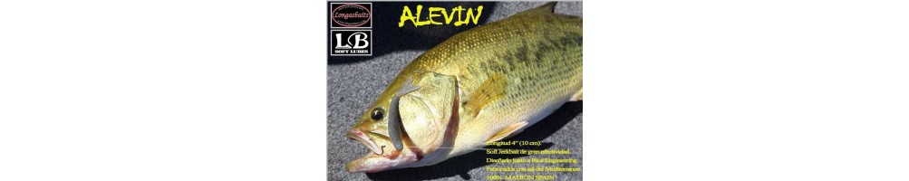 Longasbaits Alevín