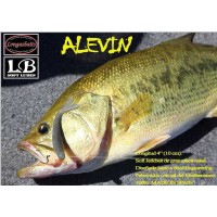 Longasbaits Alevín