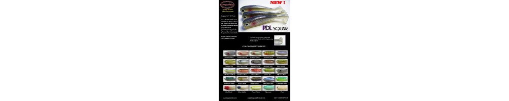 Longasbaits PDL Square