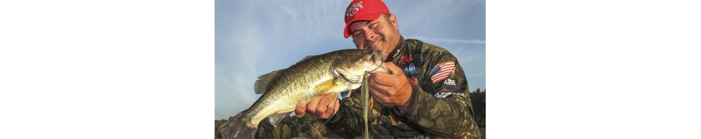Strike King KVD Caffeine Shad