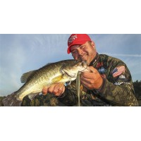 Strike King KVD Caffeine Shad
