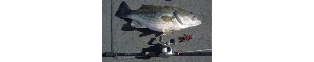 Longasbaits Tungsten Craw