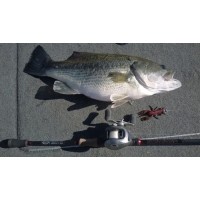 Longasbaits Tungsten Craw
