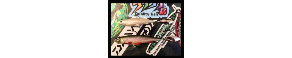 Daiwa L.S. Spintail